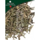 Tou Gu Cao - Speranskia Tuberculata Herb - Max Nature