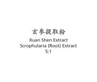 Xuan Shen - Scrophularia (Root) Extract - Max Nature