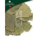 Yin Xing Ye - Ginkgo Biloba Leaf - Max Nature