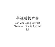 Ban Zhi Liang - Chinese Lobelia Extract - Max Nature