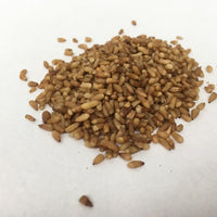Bo Zi Ren - Platycladi Seed Extract - Max Nature
