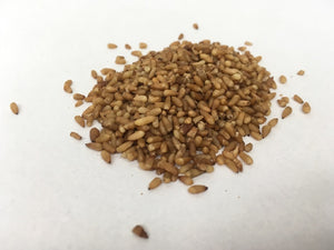 Bo Zi Ren - Platycladi Seed Extract - Max Nature