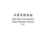 Che Qian Cao - Asian Plantain Extract - Max Nature
