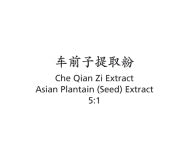 Che Qian Zi - Asian Plantain (Seed) Extract - Max Nature