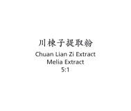 Chuan Lian Zi - Melia Extract - Max Nature