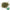 Comfrey Leaf C-S Organic - Max Nature