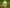 Feng Shi Zhi Tong Wan - 1 Dozen - Max Nature