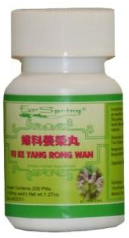 Fu Ke Yang Rong Wan 妇科养荣丸 - Max Nature