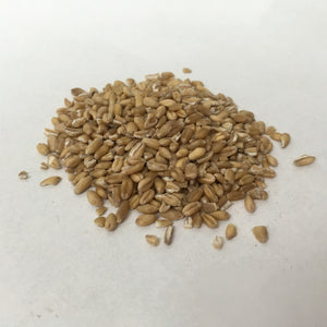 Fu Xiao Mai - Blighted Wheat - Max Nature