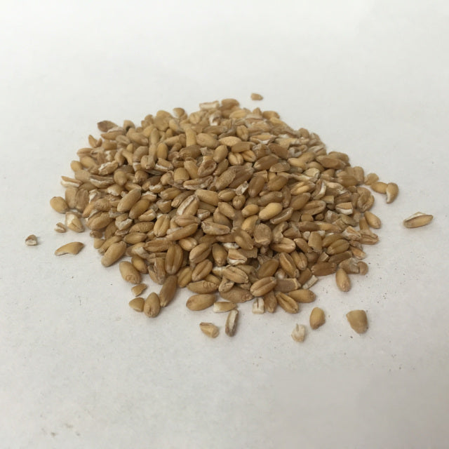 Fu Xiao Mai - Blighted Wheat - Max Nature