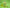 Gui Pi Tang - 1 Dozen - Max Nature