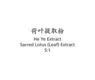He Ye - Sacred Lotus (Leaf) - Max Nature