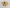 Hua Qi Shen Pian - Sliced Premium American Ginseng - Max Nature