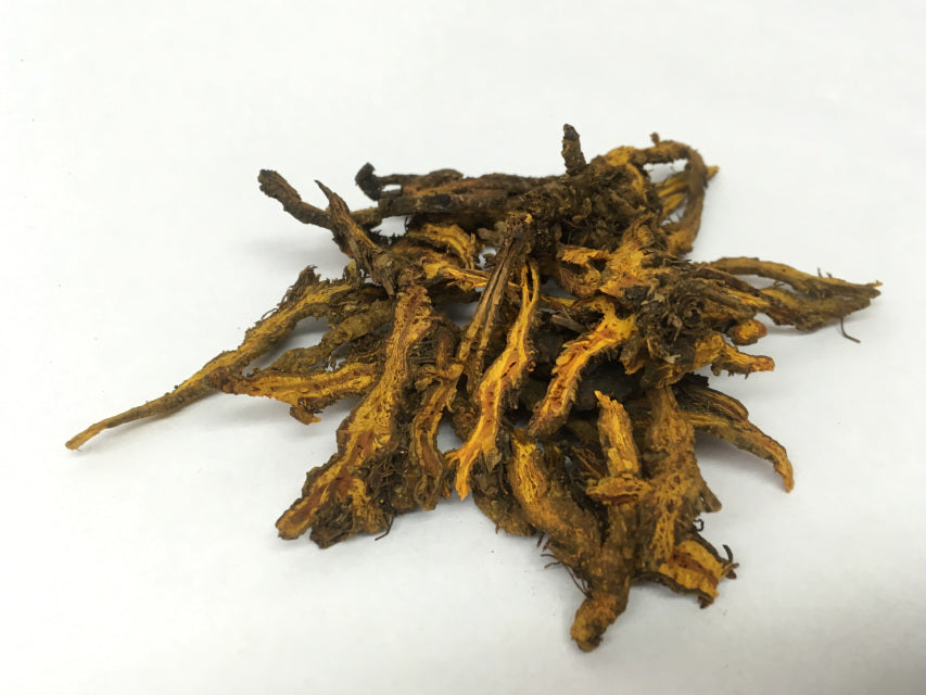 Huang Lian - Goldthread - Max Nature