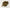 Huang Qin (Chao) - Heated Baical Skullcap Root - Max Nature