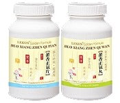 Huo Xiang Zhen Qi Pian - Stomach Aid - Max Nature