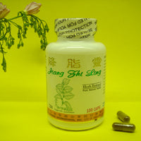 Jiang Zhi Ling - 1 Dozen - Max Nature
