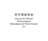 Jing Jie Sui - Schizonepeta (Aboveground Parts) Extract - Max Nature