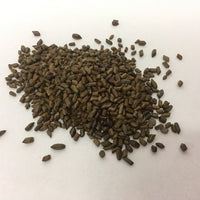 Jue Ming Zi - Sicklepod - Max Nature