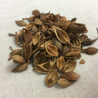 Lian Qiao - Lao Qiao - Mature Forsythiae - Max Nature
