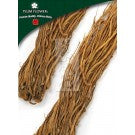 Long Dan Cao - Gentiana Scabra Root & Rhizome - Max Nature