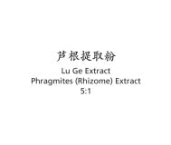 Lu Ge - Phragmites (Rhizome) Extract - Max Nature