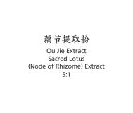 Ou Jie - Sacred Lotus (Node of Rhizome) Extract - Max Nature