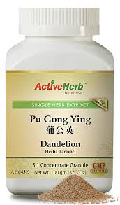 Pu Gong Ying - Dandelion 蒲公英 - Max Nature