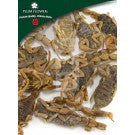 Quan Xie - Buthus Martensi - Max Nature