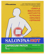 Salonpas Hot - Max Nature