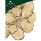 San Leng - Sparganium Stoloniferum Rhizome - Max Nature