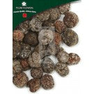 Sha Ren (Guang) - Amomum Villosum Fruit - Max Nature