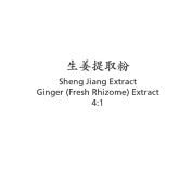 Sheng Jiang - Ginger (Fresh Rhizome) Extract 4:1 - Max Nature