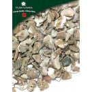 Shi Jue Ming - Haliotis Diversicolor Shell - Max Nature