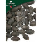 Shi Lian Zi - Sinocrassula Indica Fruit - Max Nature