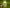 Shu Jing Huo Xue Tang - 1 Dozen - Max Nature