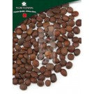 Suan Zao Ren (Chao) - Ziziphus Spinosa Seed Stir Fried - Max Nature