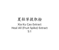 Xia Ku Cao - Heal All (Fruit Spike) Extract - Max Nature