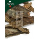 Xu Duan - Dipsacus Asper Root - Max Nature