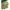 Yin Xing Ye - Ginkgo Biloba Leaf - Max Nature