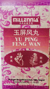 Yu Ping Feng Wan 玉屏风丸 - Max Nature