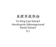 Yu Xing Cao - Houttuynia (Aboveground Parts) Extract - Max Nature