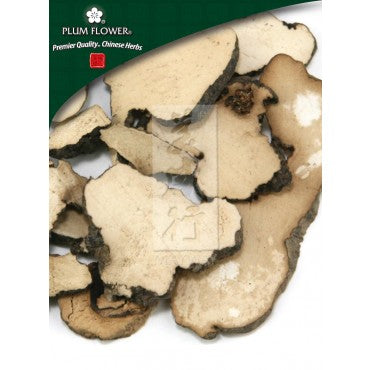 Zhu Ling - Polyporus Umbellatus Fungus - Max Nature