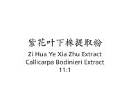 Zi Hua Ye Xia Zhu - Callicarpa Bodinieri Extract 11:1 - Max Nature